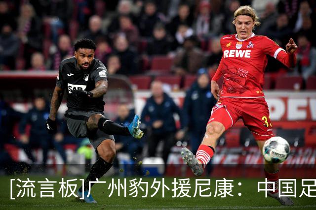 [流言板]广州豹外援尼康：中国足球重视青训，已涌现出潜力U20新星